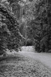 Abphotography 465